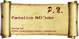 Pantelics Nándor névjegykártya