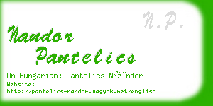 nandor pantelics business card
